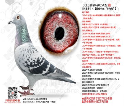 �����������ִơ���÷¡��