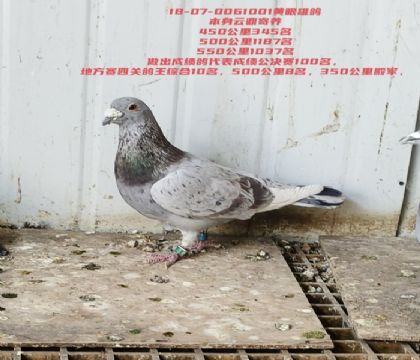 �������һ����Э���Ĺظ���ʮ�����׳ɼ���