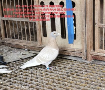 �������114����ش����˵�����˹