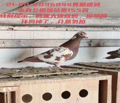 Ľ���ż�վ��155�������˽�������