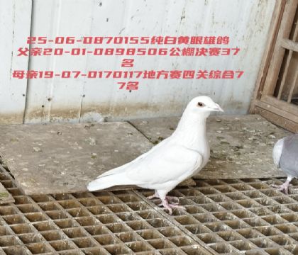 �������37����ط����Ĺ�77������