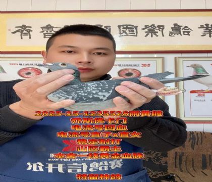 山区霸主!乔斯佛卡门电流号回血金母