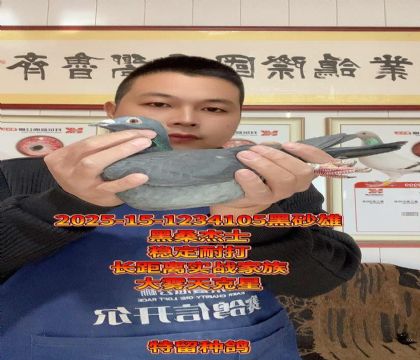 黑色桑杰士!稳定耐打长距离实战家族