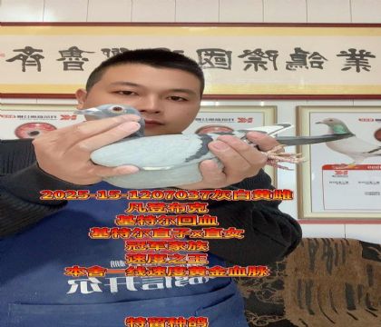 冠军家族!基特尔直子x直女回血小金母