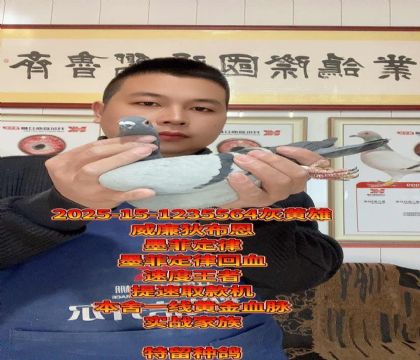 威廉狄布恩!墨菲定律直子x直女回血种雄