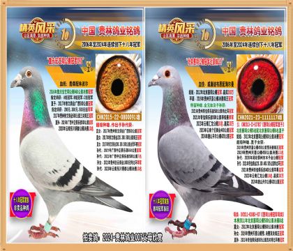 3-24-����007��