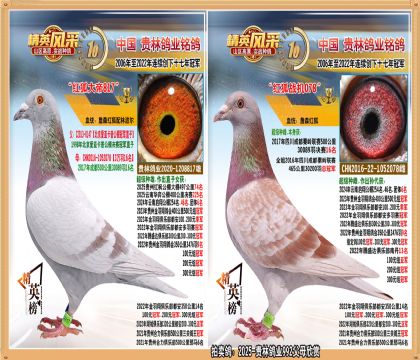 11-25-����992��