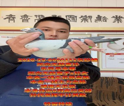 新年福利!所向无敌东风号本尊!