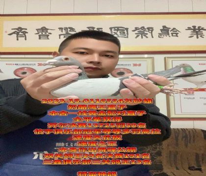 奶酪鹰王直子!开尔13725羽30名平辈