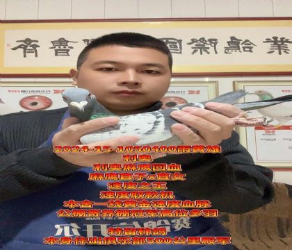 提速取款机!利奥麻鹰直子x直女高级种雄