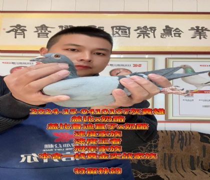 全天候血脉!盖比鲁迪直子x奶酪高级种雄