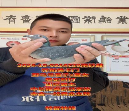 山区霸主!野马号回血!高级金母