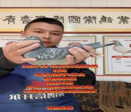 提速取款机!利奥杨直子x孙女!完美种雄