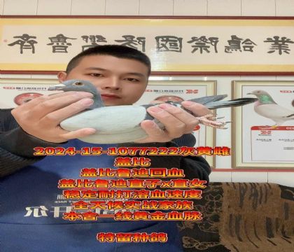 全天候血脉金母!盖比鲁迪回血!高级