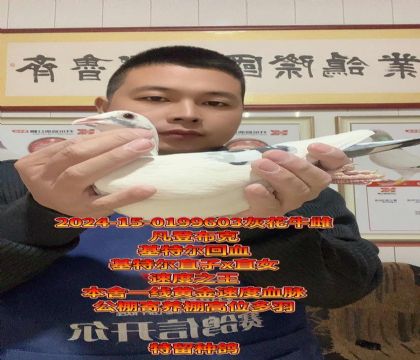 冠军家族!基特尔直子x直女!回血金母