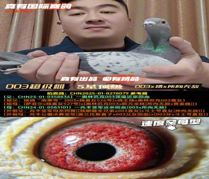 ��003�����ơ�003x������x�����޵�