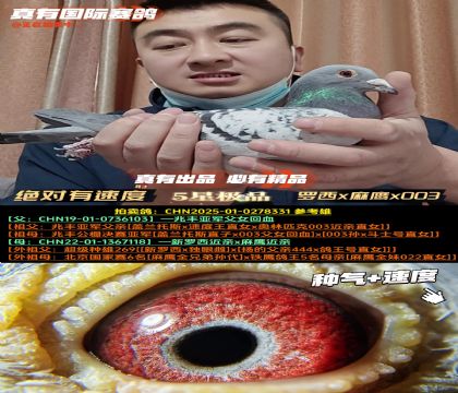 ���������ٶȡ�����x��ӥx003