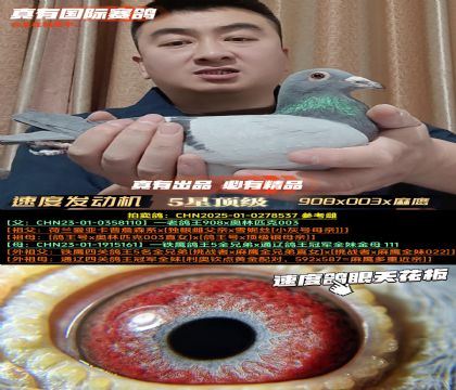 ���ٶȷ�������908x003x��ӥ