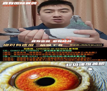 ���������ٶȡ��ƽ��x�����޵�x003