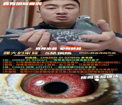 ��ǿ��ļ��塷858��Ѫ�����޵�