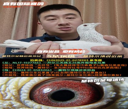 �����ض�ȫ�ý�����Ů�����ض��������׻�Ѫ