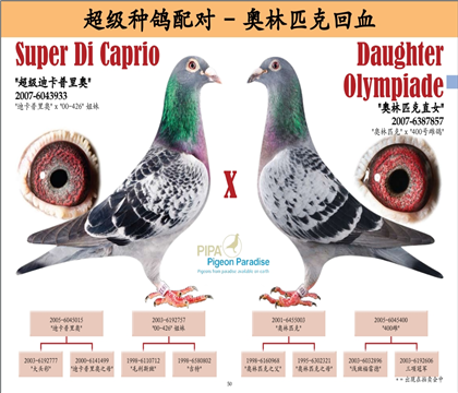 �����Ͽ������