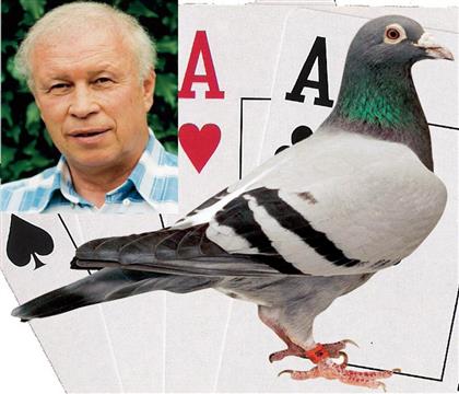 ս�����ֱ��-�޻���