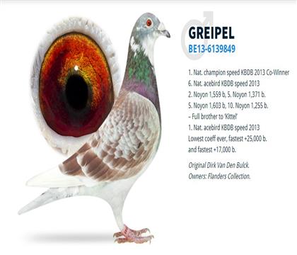 ���ض�ȫ�ֵ�-�������