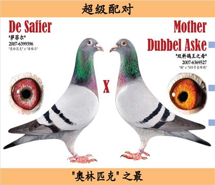 ���ƶ��ƽ����