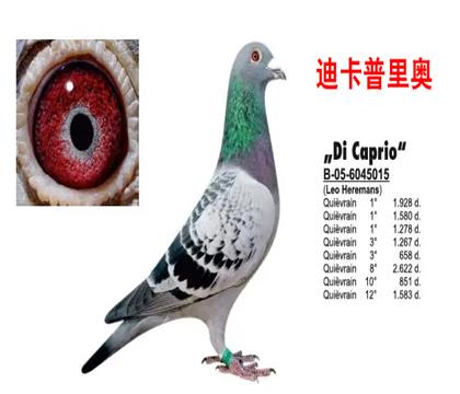 �Ͽ������