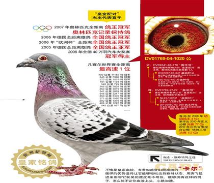 ����˹����-����