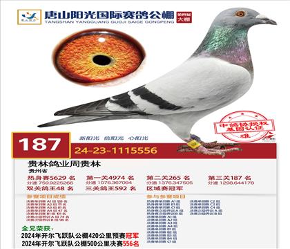 ȫ�֣���ɽ���⹫��187��