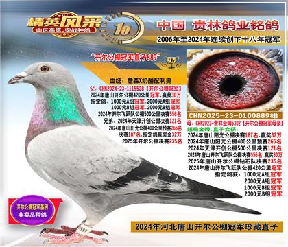 ������������ھ�ֱŮ