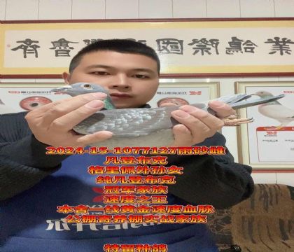 冠军家族!凡登布克格里佩外孙女!