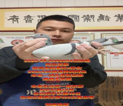 本舍一线天花板血脉!所向无敌金母