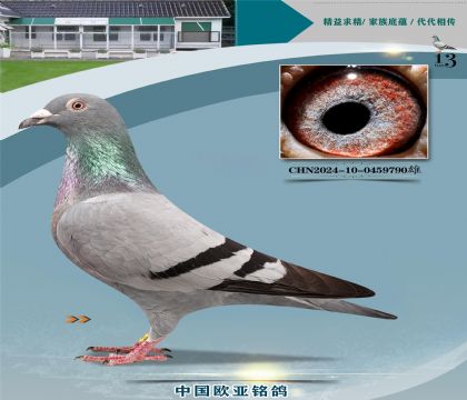 �Ǳ�ԭ��ʼһ�ֱ��329X�ʼһ�ֱŮ358����