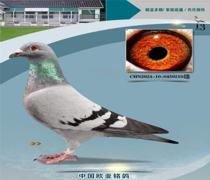 �Ǳ�ԭ�ᳬ������ŷֱ��727X��ӥ��127