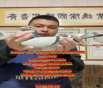 克拉克!16次冠军家族回血种雄