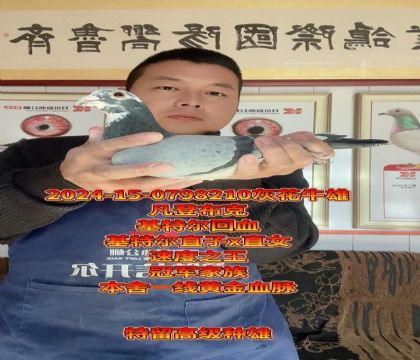 冠军家族!基特尔直子x直女回血种雄