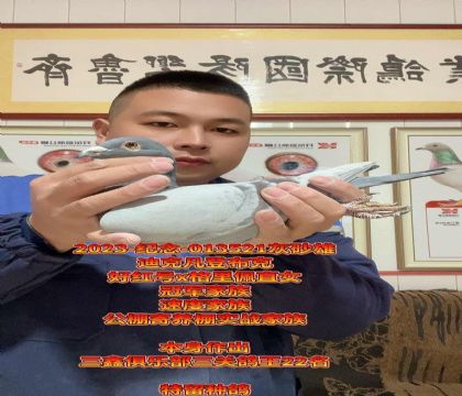 好红号x格里佩直女!高级种雄