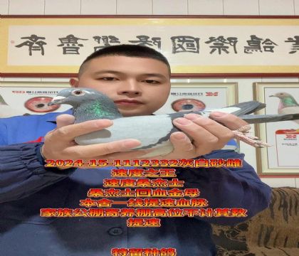 桑杰士第一武士回血。高级金母