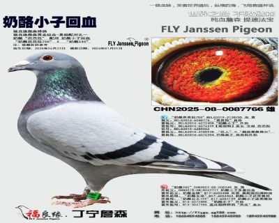 ����С�ӻ�Ѫ