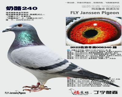 ��ĸ����