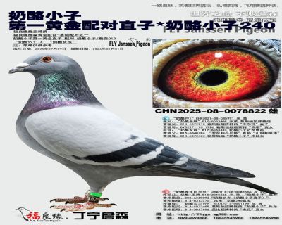 ����С�� ��һ�ƽ����ֱ��/����С��240