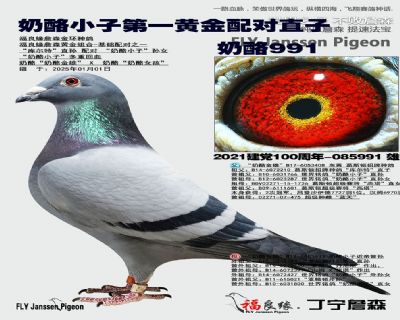 ��ĸ����