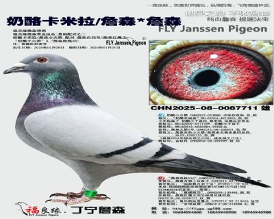 ���ҿ�����/ղɭ/ղɭ