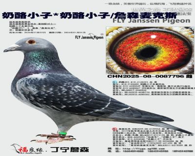 ����С��/����С��/ղɭ���˹