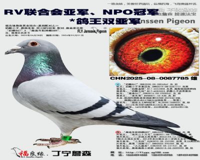 RV���ϻ��Ǿ���NPO�ھ�