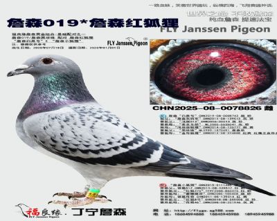 ղɭ019/ղɭ�����