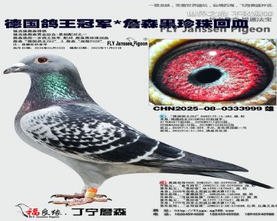 �¹������ھ�/ղɭ�������Ѫ